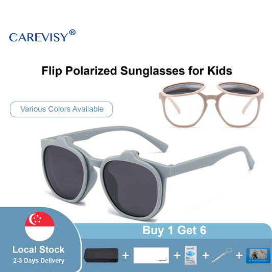 Flip Sunglasses C6073